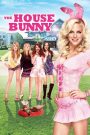 The House Bunny – Watch full movie for free