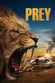 Prey – Watch full movies for free