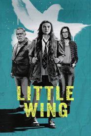 Little Wing – Watch full movies for free