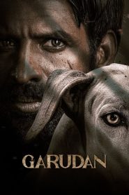 Garudan – Watch full movies for free