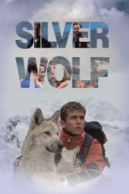 Silver Wolf – Watch full movies for free